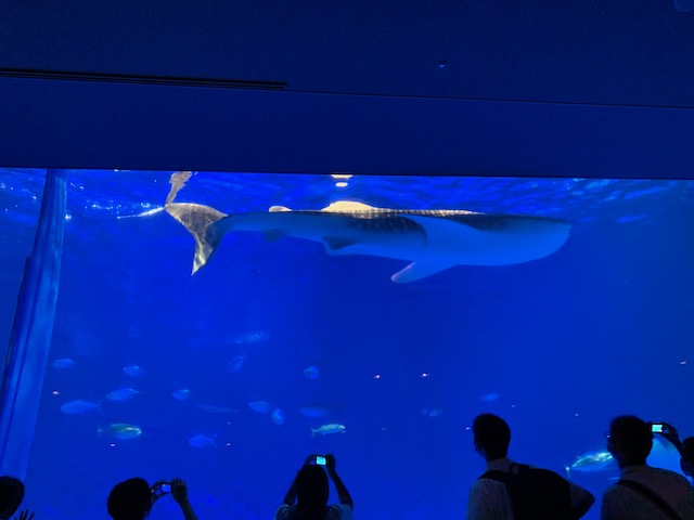 水族館